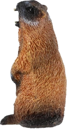 Kompaktne suurus