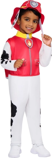 Autentne päästekoera välimus