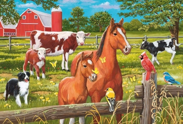 Vivid colors and detailed illustrations