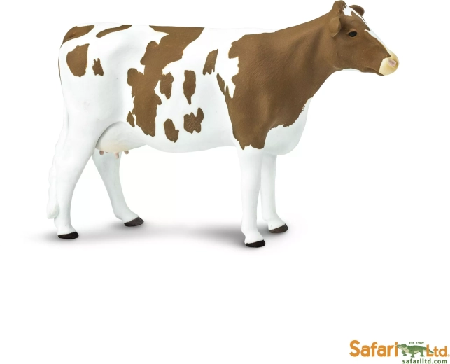 Safari Ltd. ayrshire’i veis
