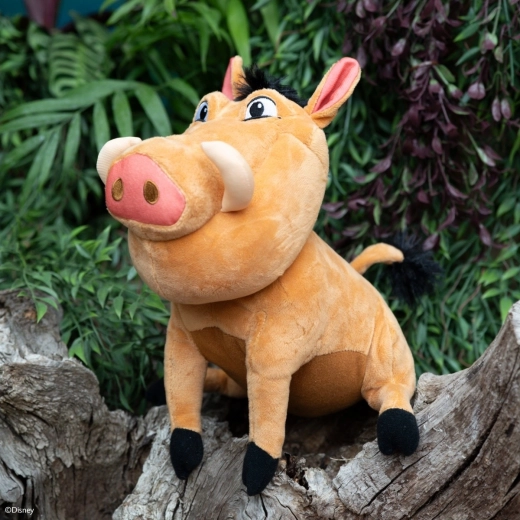 Ametlik DISNEY välimus ja armsad detailid