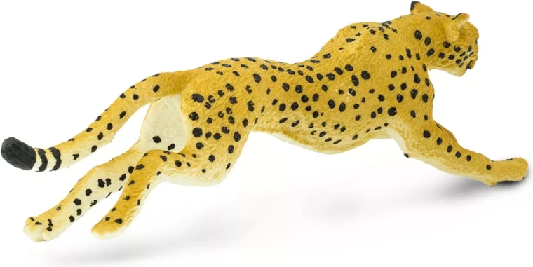 Detailed workmanship and realistic coloring