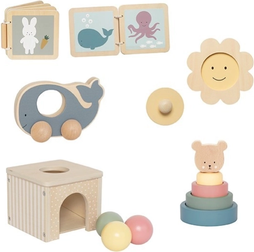 5 toys for developing motor skills and coordination