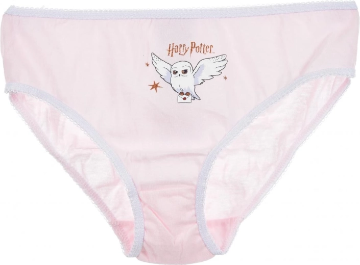 Litsentseeritud Harry Potteri motiiv