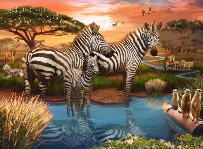 Zebrade pusle 500 tükki
