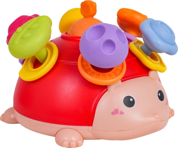 Kõrinaga rõngad ja lõbus sobitamine