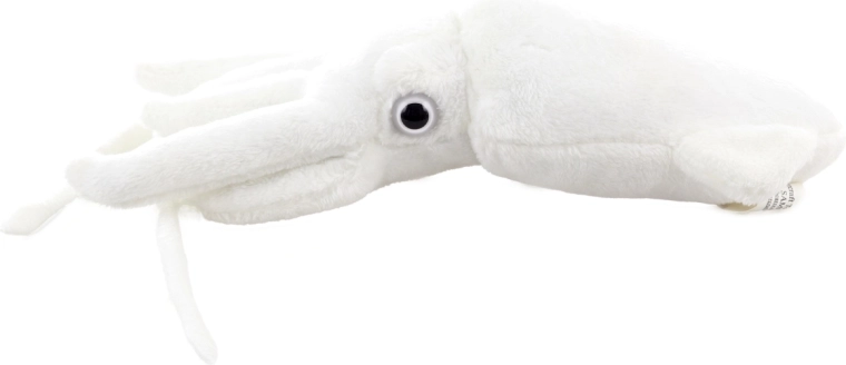 Kerge ja hõlpsasti haaratav