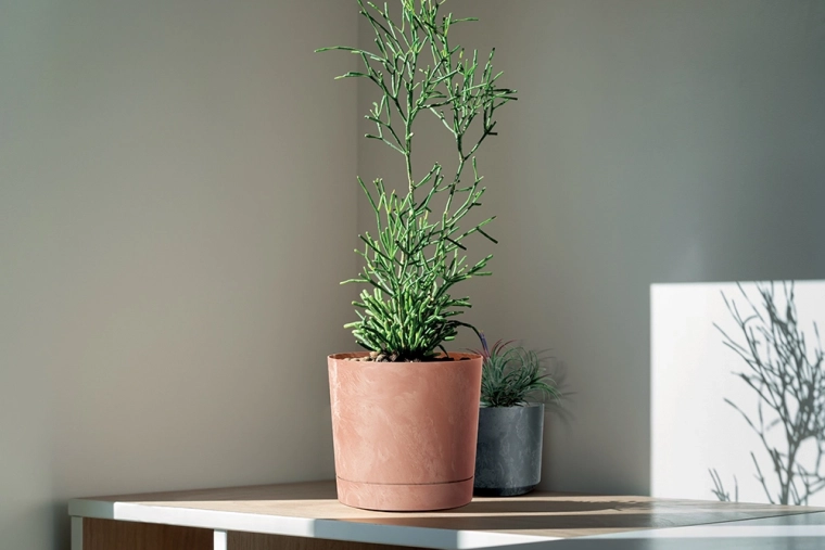 A stylish accent for modern and traditional interiors
