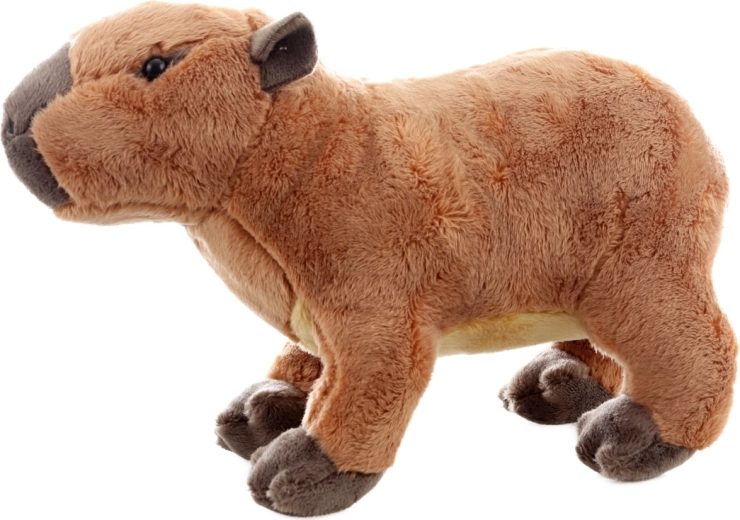 Turvaline juba sünnist saati