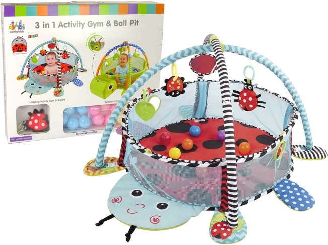 Educational play mat ladybug with playpen and balls