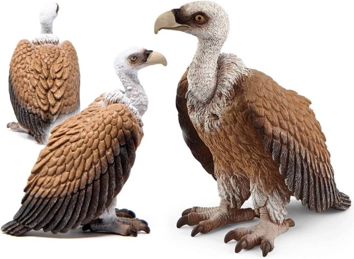 Schleich White-headed Vulture – Wild Life figure