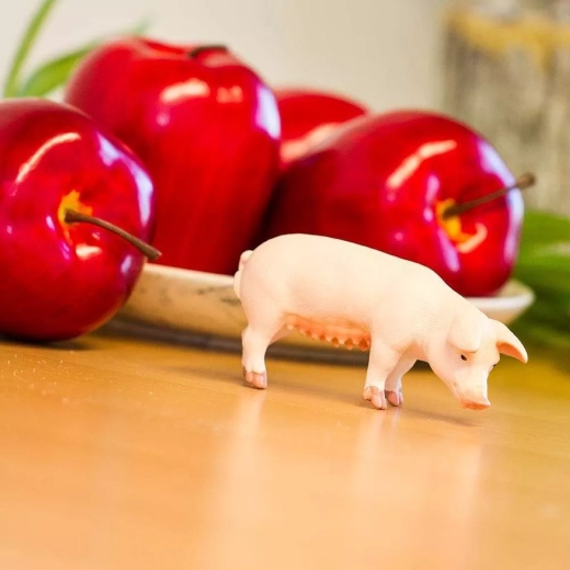 Suitable for play at home and on the go