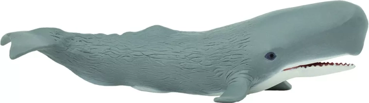 Safari Ltd. sperm whale - 1 piece