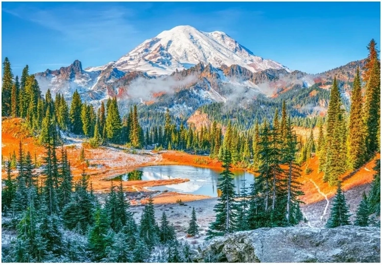 Puzzle national park mount rainier 1000 pieces