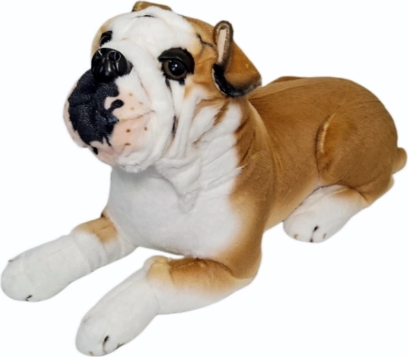 Plüüsist buldogikoer – 1 tk