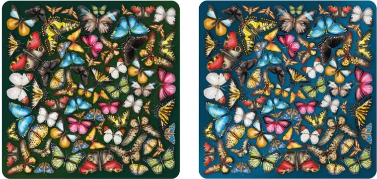 Curiosi Double Two-Sided Wooden Puzzle: Butterflies, 165 Pieces