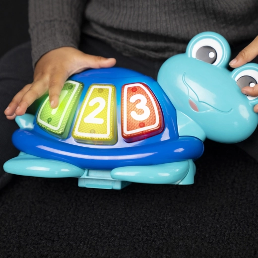 Removable Neptune turtle for travel too