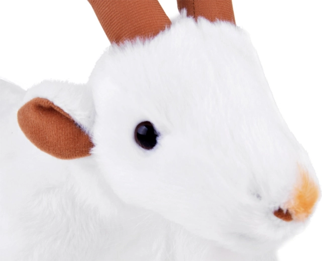 Realistlikud detailid, mis köidavad