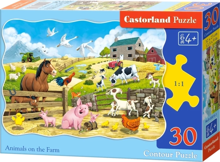 Pusle Taluloomad 30 tükki CASTORLAND