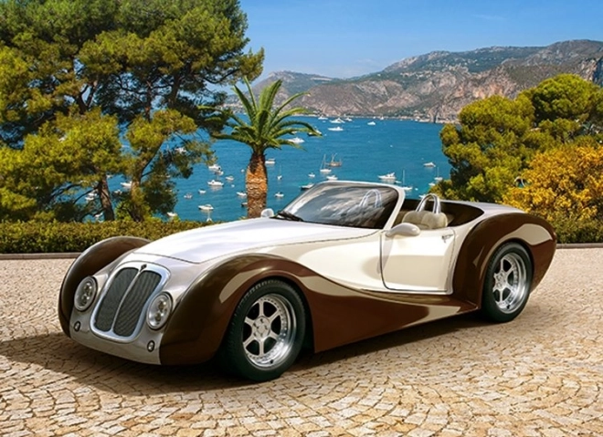 Pusle 260 tükki Roadster Rivieras