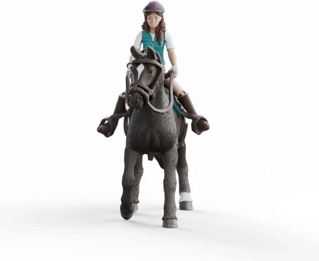 Finely detailed Hanoverian gelding
