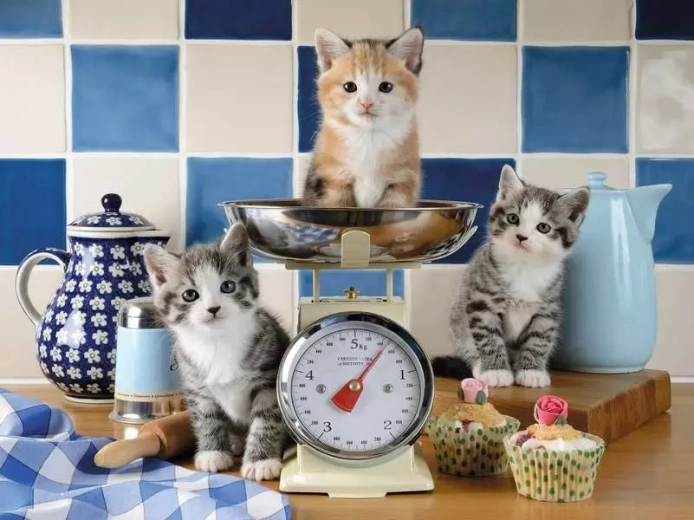 Ravensburger Puzzle Kitchen with Kittens 1500 Pieces