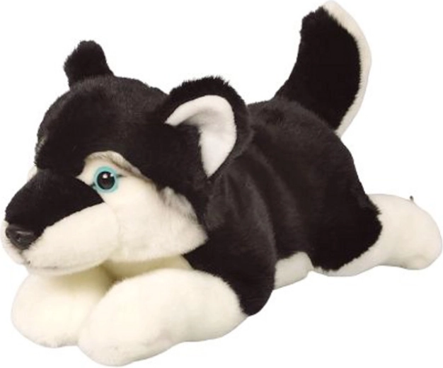 Pehme husky 34 cm