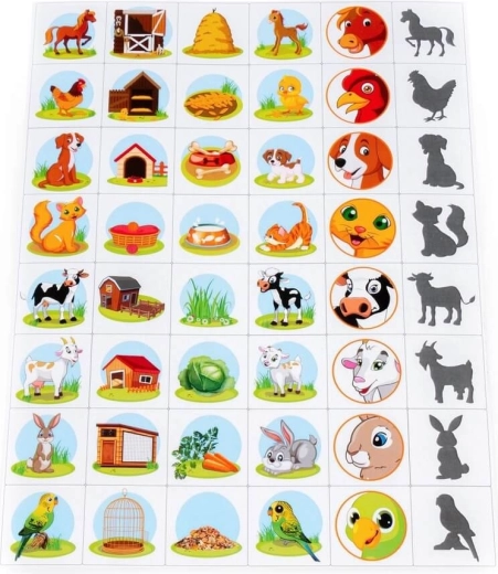Colorful pictures for easy matching