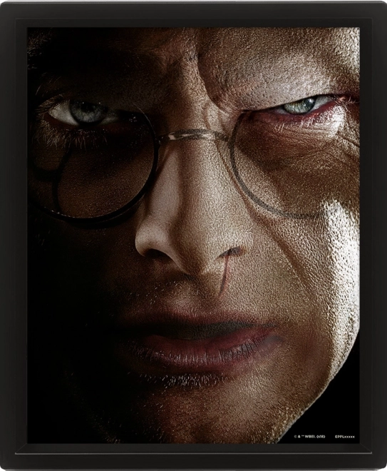 3D pilt HARRY POTTER – Harry vs. Voldemort