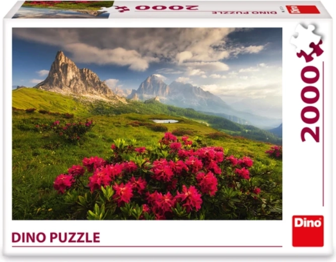 A demanding challenge for experienced puzzlers