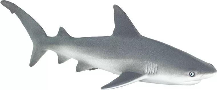 Realistic rendering of a marine predator