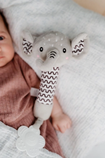 Närimislelu igemete leevenduseks