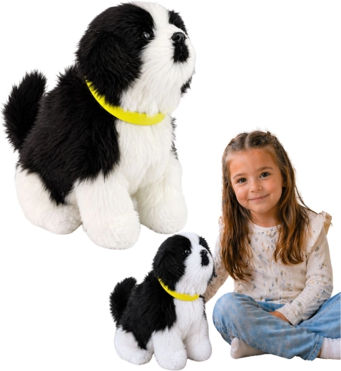 Interaktiivne Border Collie plüüskoer