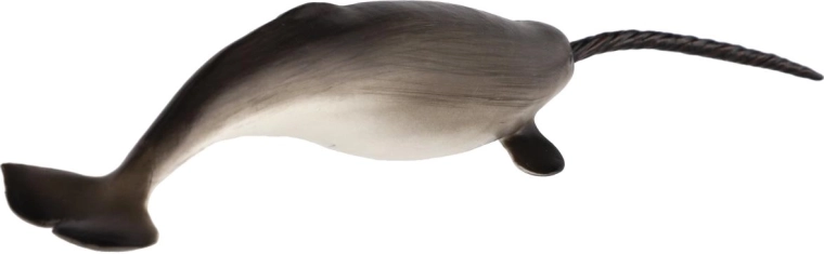 Detailed narwhal design