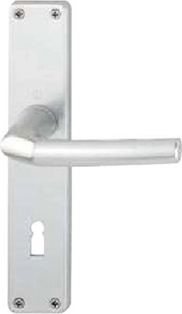 BIRMINGHAM handle with backplate for key 72 mm, aluminum, silver