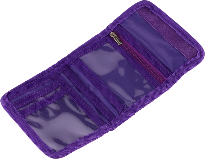 Clear organization of cards and cash