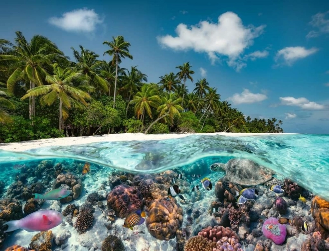 Puzzle Diving in the Maldives