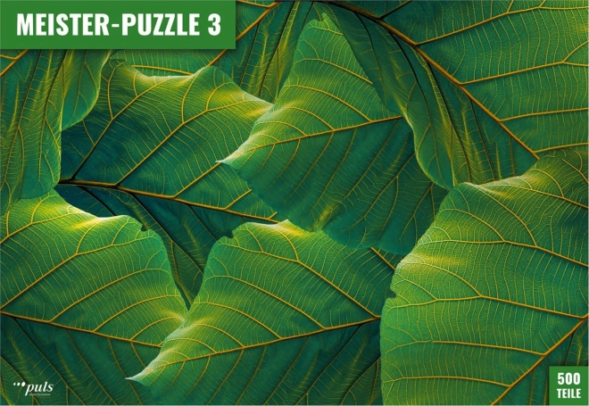 Pusle PULS ENTERTAINMENT Meister-Puzzle 3: lehed, 500 tükki