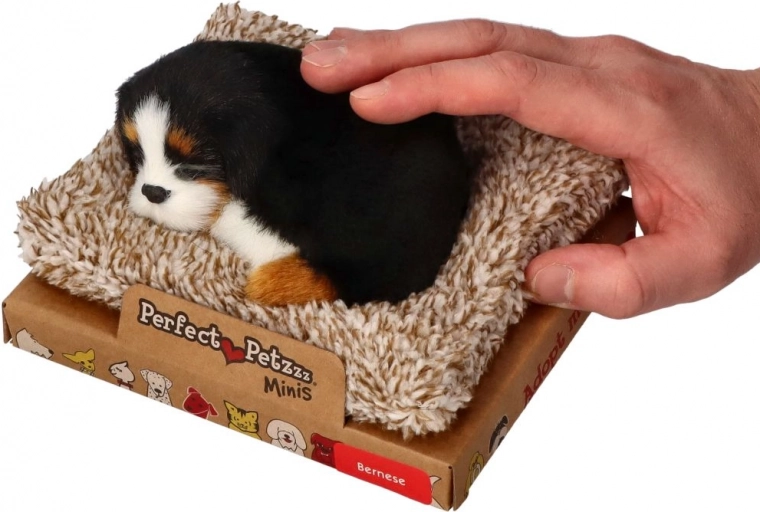 Perfect Petzzz väike berni alpi karjakoer oma pesaga