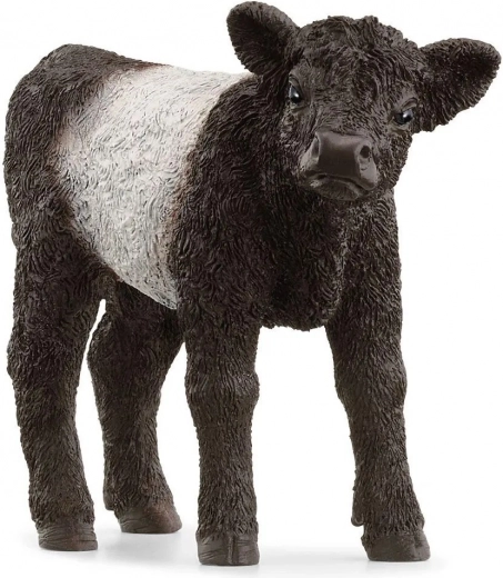 Galloway vasika figuur