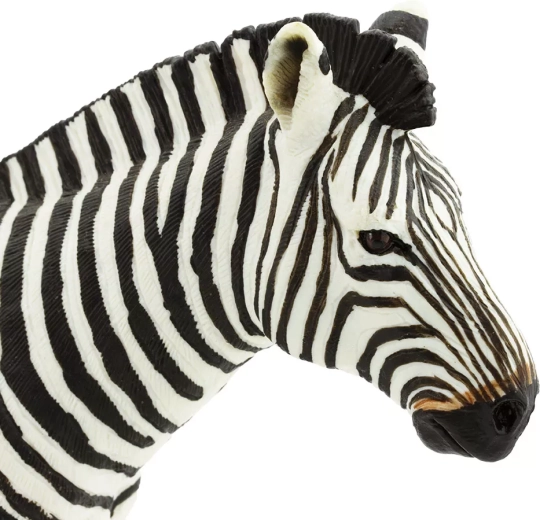 Safe and non-toxic toy
