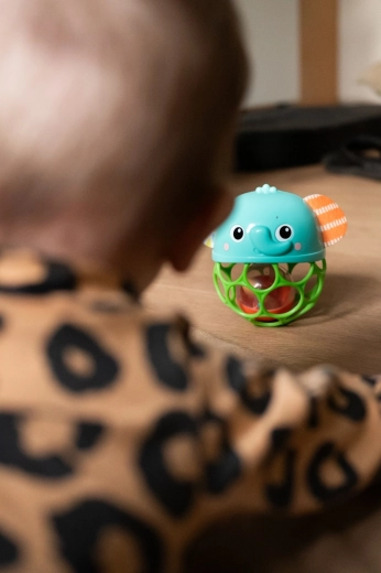 Lights and giggles for sensory fun