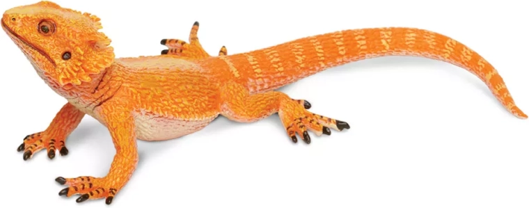 Realistic details like a real bearded dragon