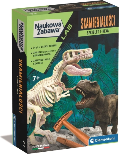 Fossils - T-Rex