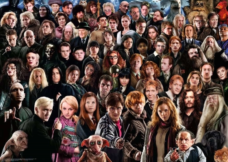 Puzzle Challenge Harry Potter 1000 Pieces