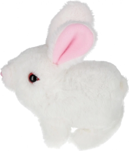 Valik kolmest värvist