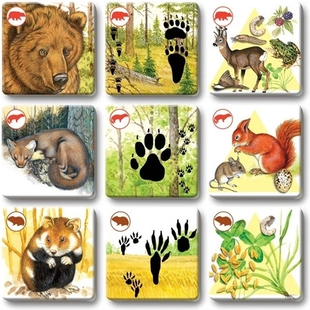 Kaunid ja köitvad illustratsioonid