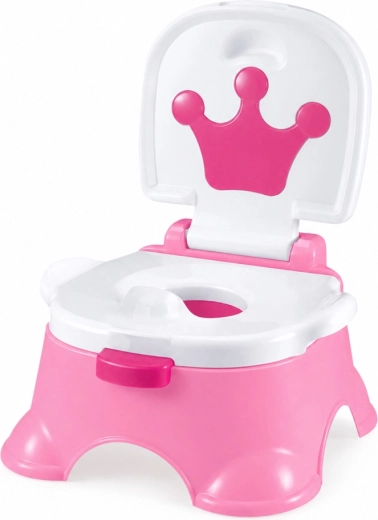 5-in-1: potty, toilet seat reducer and stool