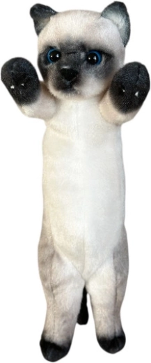 Plush Siamese cat 25 cm - 1 piece