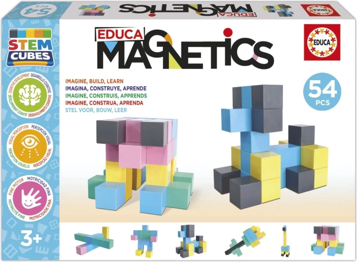 EDUCA magnetiline ehituskomplekt Magnetics STEM kuubikud, 54 osa